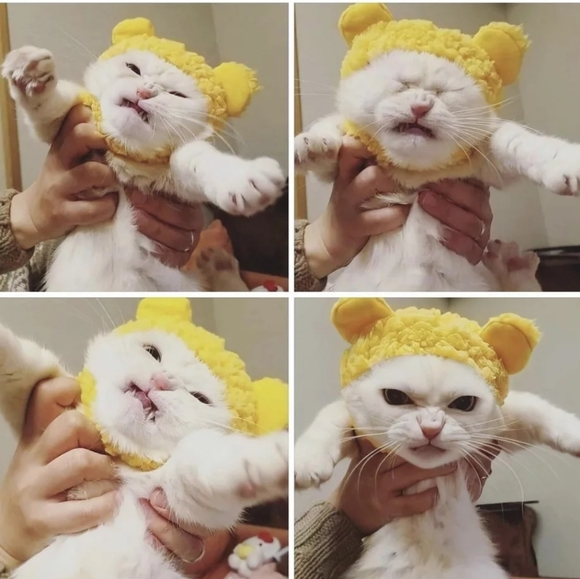 Maria - Picture 4 of 4